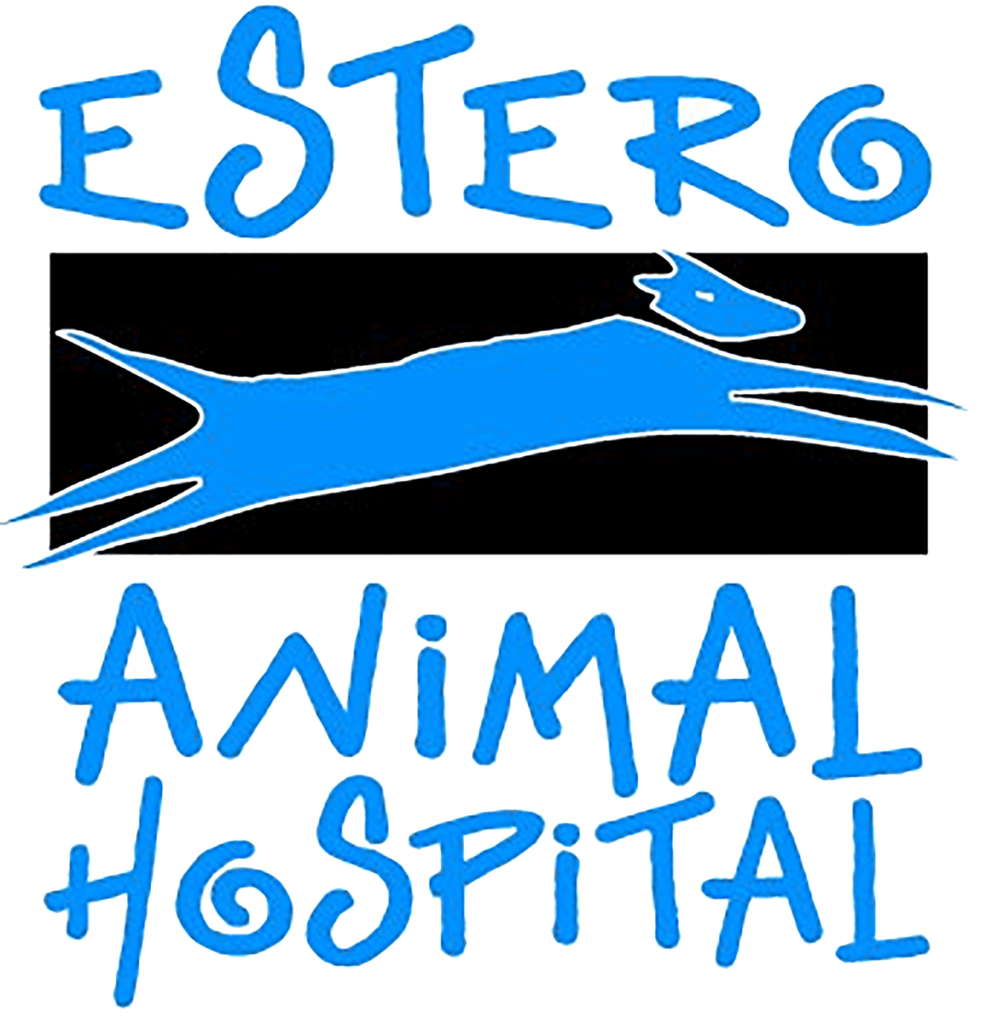 Estero Animal Hospital American Veterinary Group